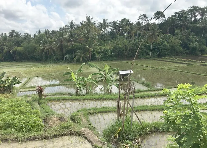 Exotica Bali Villa
